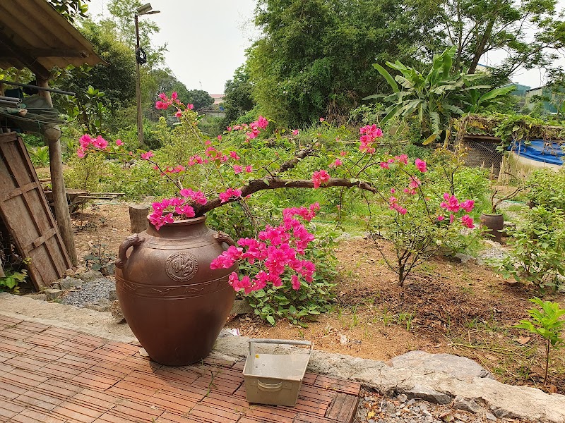 Silk Farm Bến Giá - Silk Farm Bến Giá, Thôn Hạ Trạo, Hoa Lư, Ninh Bình 08000, Vietnam
