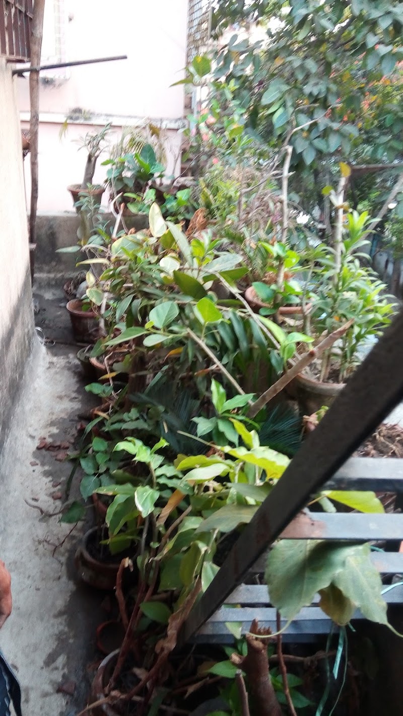 Dover Terrace - Dover Terrace, Ballygunge, Kolkata, West Bengal, India