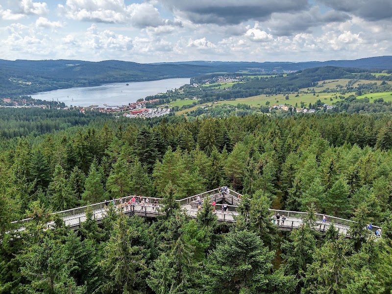 Treetop Trail Lipno - Treetop Trail Lipno, Lipno nad Vltavou 307, 382 78 Lipno nad Vltavou, Czechia