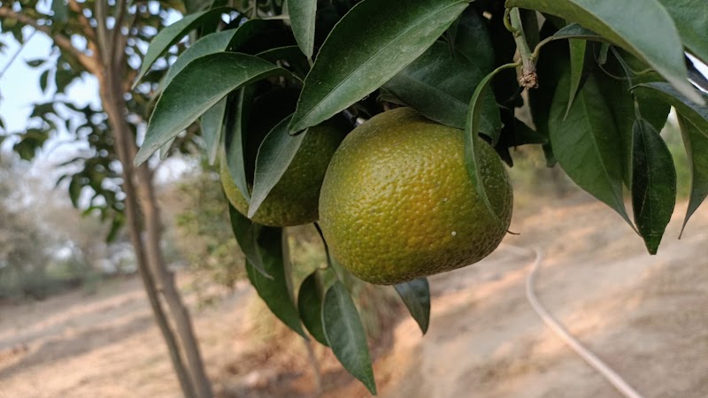 Aravali Retreat - Aravali Retreat, A 43 Aravali Retreat Near Pathways World School Raisina, Village, Gurugram, Haryana 122102, India