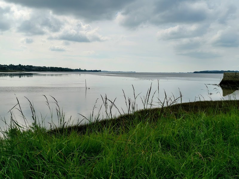 River Exe - River Exe, United Kingdom