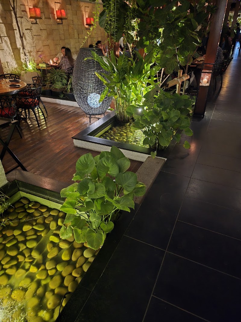 Exotica Hitech City- North Indian Rooftop Restaurant - Exotica Hitech City- North Indian Rooftop Restaurant 7th Floor, Unit No 7 A, Business Square Building, Jubilee Enclave Hitech City, opp. Hitex Entrance, Jubilee Enclave, Madhapur, Hyderabad, Telangana 500081, India