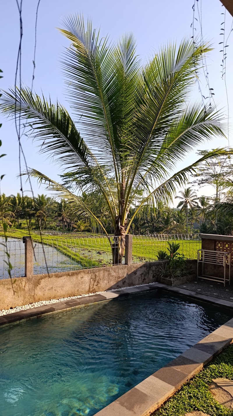 Arira Villa Ubud - Arira Villa Ubud, G7F5+FFH, Jl. Raya Sebali, Keliki, Kec. Tegallalang, Kabupaten Gianyar, Bali 80571, Indonesia