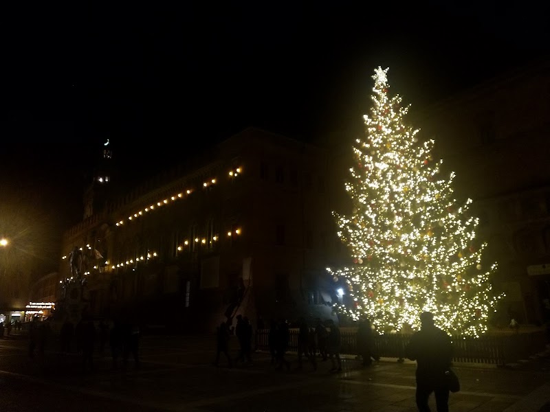 Piazza Maggiore - Piazza Maggiore, Bologna BO, Italy