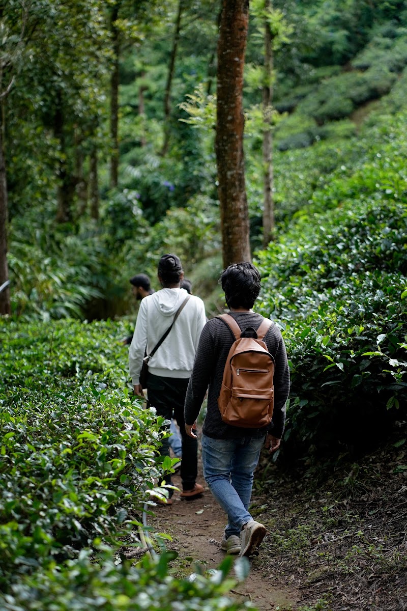 Koodaram Glamping & Camping - Koodaram Glamping & Camping Pothamedu, Munnar, Kerala 685612, India