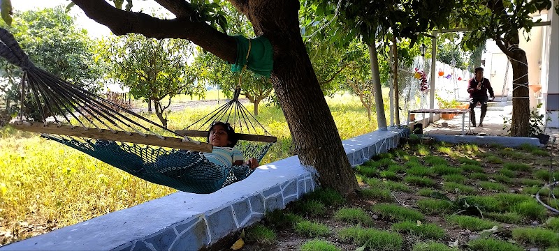 Vedkasturi's Agro farm and Home stay - Vedkasturi's Agro farm and Home stay Pune, Parunde, Maharashtra 410502, India