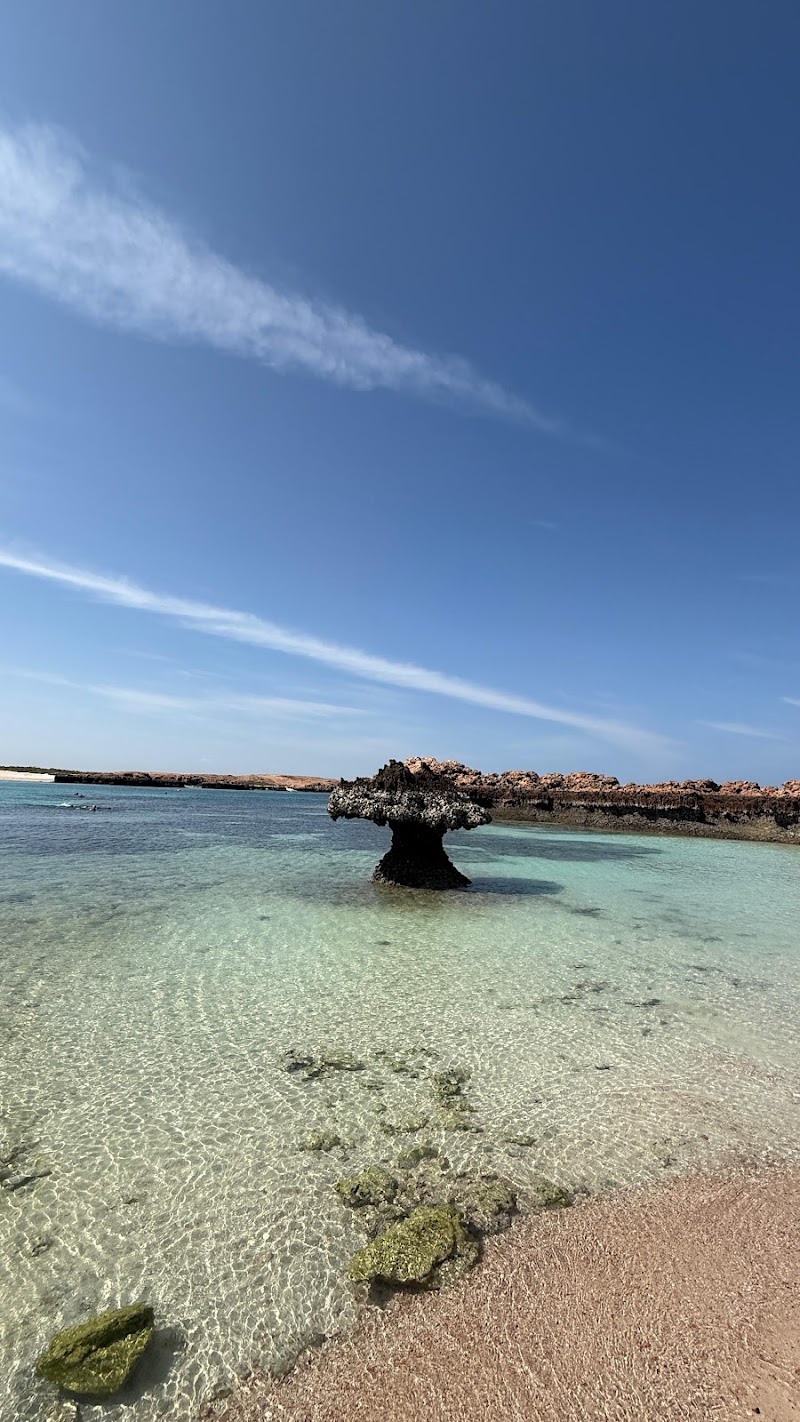 Daymaniyat Islands Sea Tours Oman - Daymaniyat Islands Sea Tours Oman, Al Mouj Marina, Muscat 111, Oman