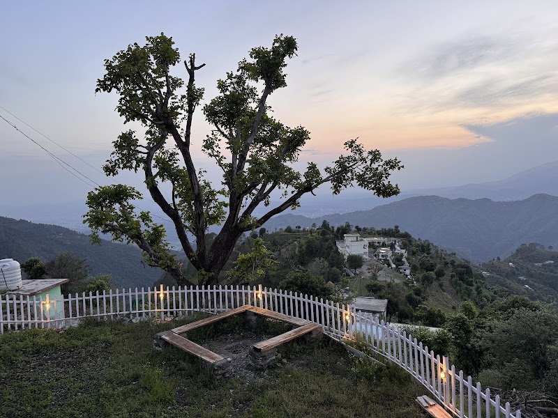 The Willow Stays - The Willow Stays On, The Willow Stays, Maldevta - Dhanaulti road, Village Dhounk, Saklana Range, Dhaula Giri, Uttarakhand 249145, India