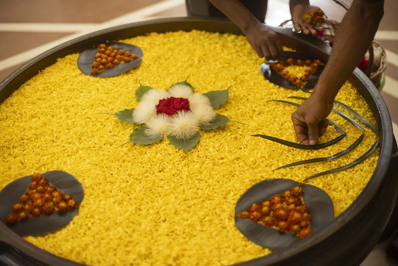 Trident, Bhubaneswar - Trident, Bhubaneswar CB-1, Nayapalli, Bhubaneswar, Odisha 751013, India