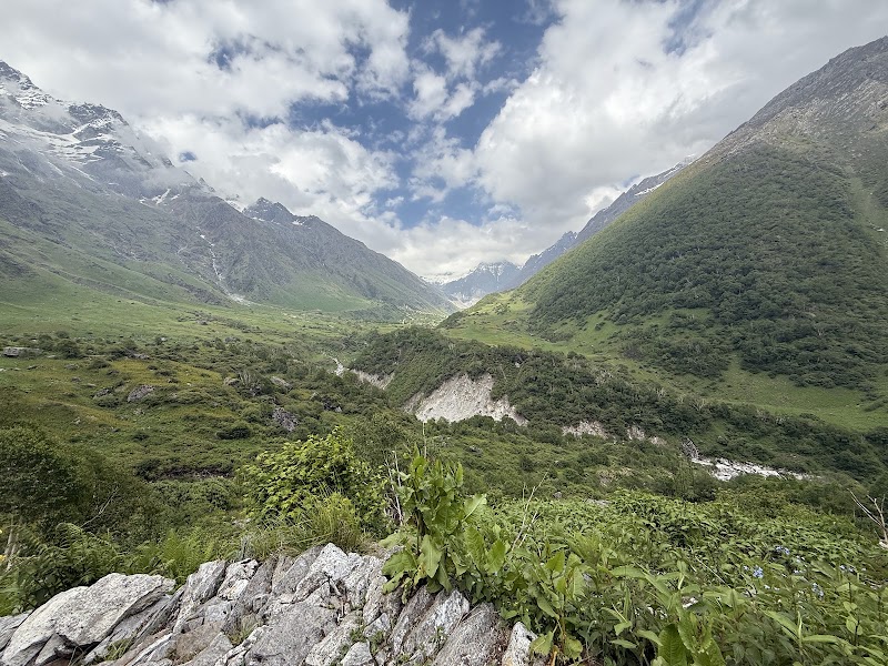Valley of Flowers, The Paradise on Earth - Valley of Flowers, The Paradise on Earth PH4W+F96, Ghangaria - Valley of Flowers Trek Rte, Ghangaria, Uttarakhand 246443, India