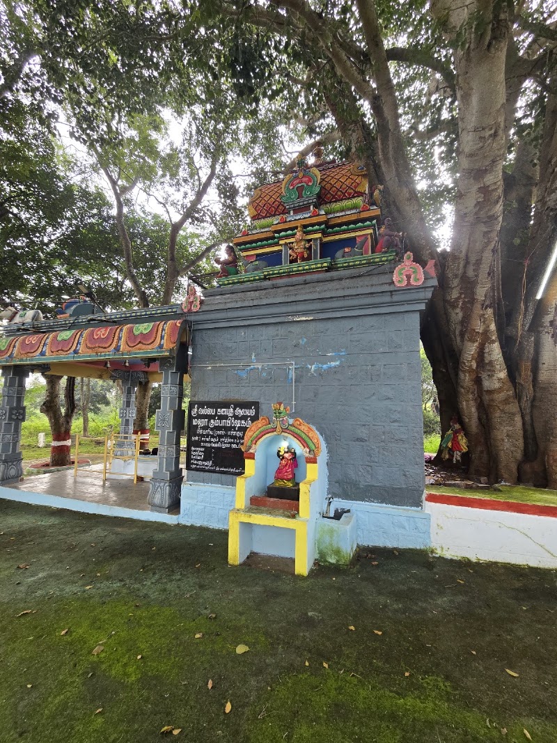 Maravakandy dam - Maravakandy dam HMF2+HQ, Masinagudi, Tamil Nadu 643223, India