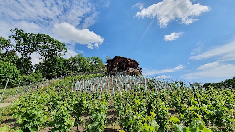 Havlíčkovy sady - Havlíčkovy sady, 120 00 Praha 2-Vinohrady, Czechia