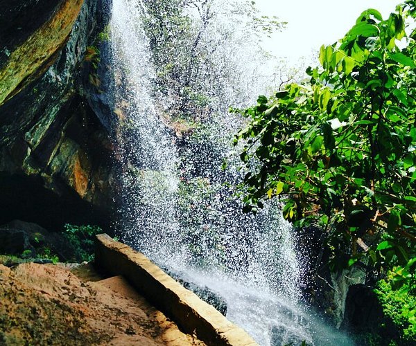 Gandhamardhan hills - Gandhamardhan hills, Odisha 768039, India