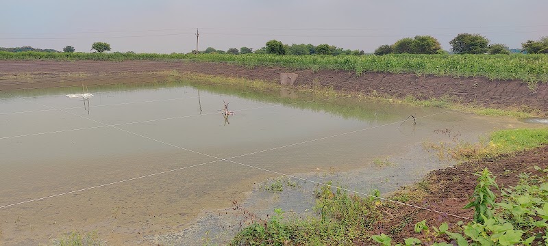 Daniel & Das integrated farm - Daniel & Das integrated farm, 6474+C5X, Jalbandha Road, Chhattisgarh 491444, India