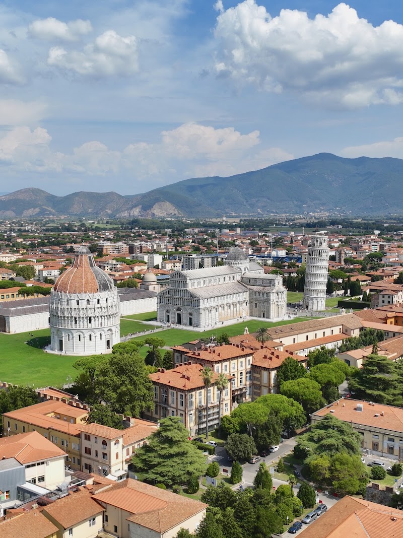 Tower of Pisa - Tower of Pisa Piazza del Duomo, 56126 Pisa PI, Italy