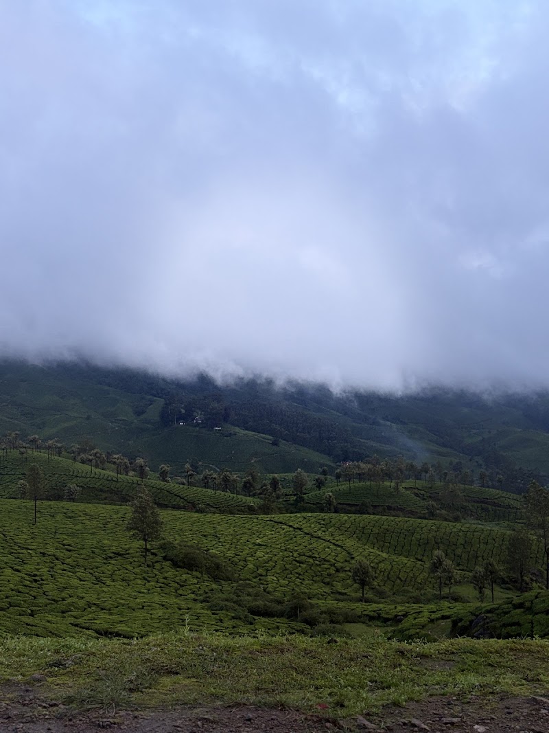 Munnar Travel Warriors