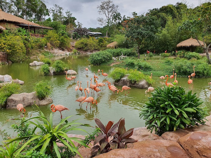 Vinpearl Safari Phú Quốc - Vinpearl Safari Phú Quốc Bãi Dài, Gành Dầu, Phú Quốc, An Giang 922200, Vietnam