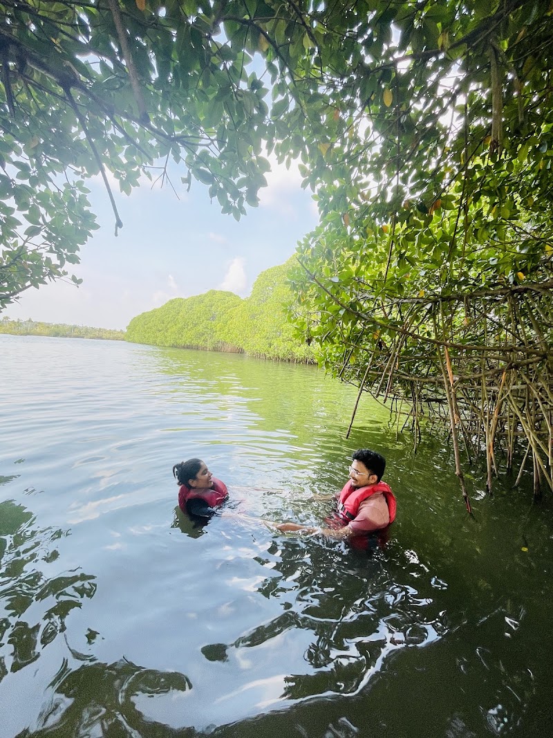 Mangrove safari - Mangrove safari Madankavu, Nedungolam, Paravoor, Kerala 691334, India