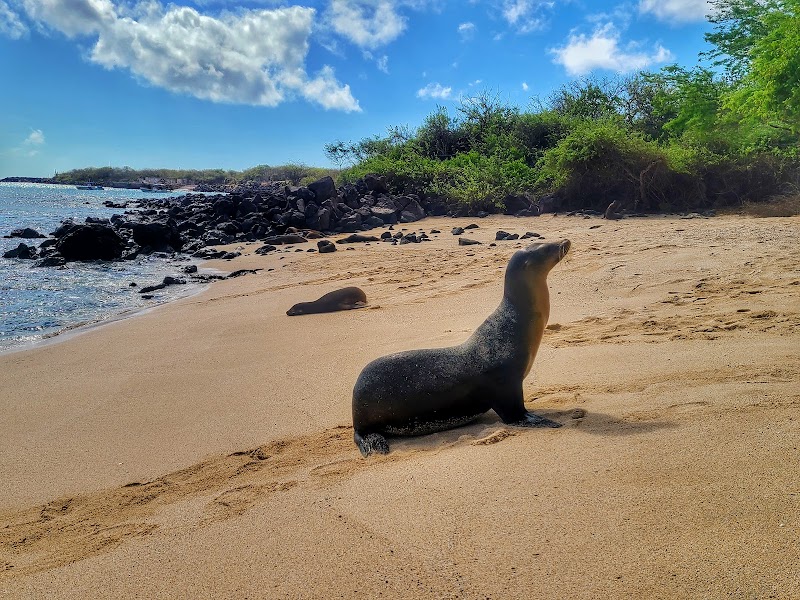 Playa Mann - Playa Mann, Puerto Baquerizo Moreno, Ecuador