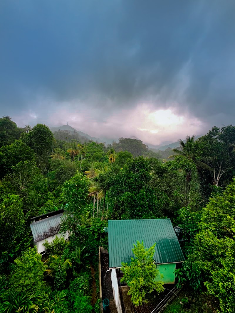 BLUE MOON COTTAGE - BLUE MOON COTTAGE 685565, Anachal - Kunchithanny Rd, Aadit, Kerala 685565, India