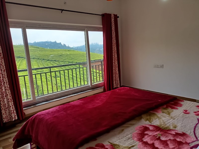 Tea Estate view Stay - Tea Estate view Stay SF No: G/1/44/1, Thittukkal Salai, Governor, Sola road, West Mere, Ooty, Tamil Nadu 643004, India