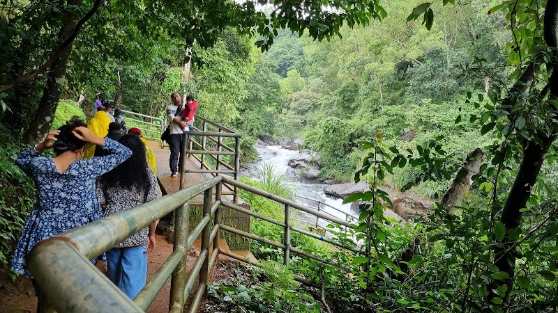 Banasuramala Meenmutty Waterfalls - Banasuramala Meenmutty Waterfalls MWHP+37M, Padinjarathara, Kerala 673575, India
