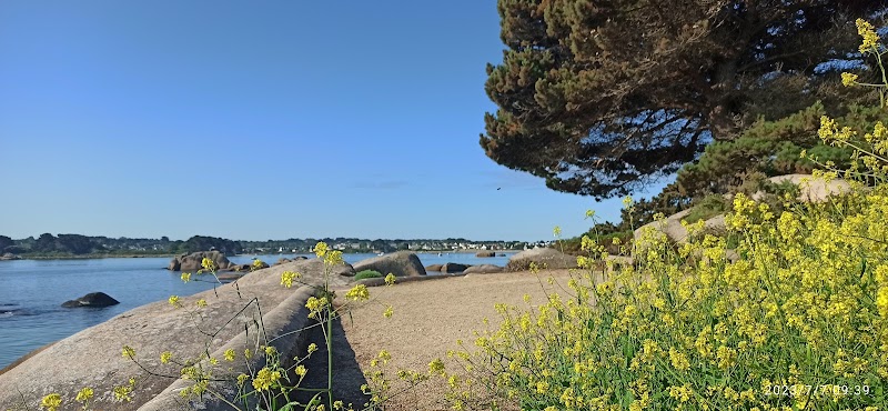 Île Renote - Île Renote, Trégastel, France