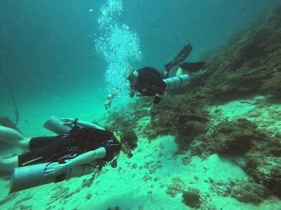 Darling Divers Phuket