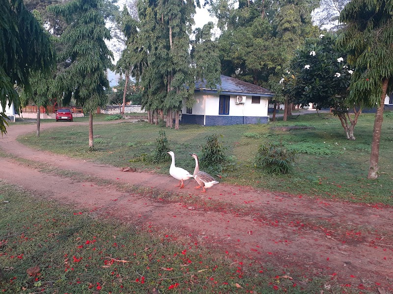 Green Park Resorts - Green Park Resorts Singara Rd, Masinagudi, Tamil Nadu 643223, India