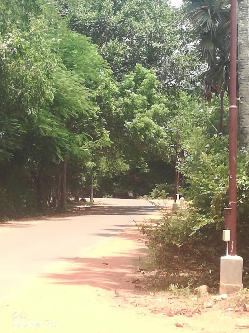 Auroville Parking - Auroville Parking, 2R22+93H, Auroville Rd, Auroville, Irumbai, Tamil Nadu 605101, India