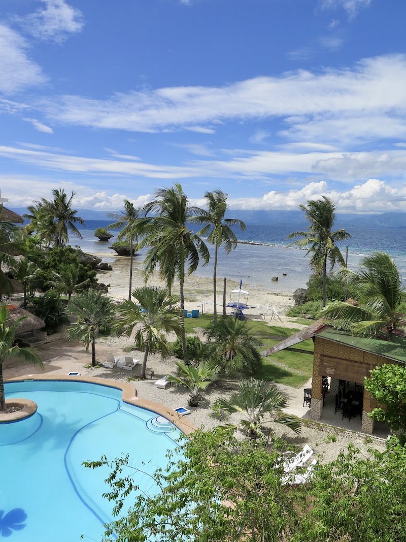 The Wild Orchid Resort - The Wild Orchid Resort The Wild Orchid Resort, Saavedra, Moalboal, Cebu, Philippines