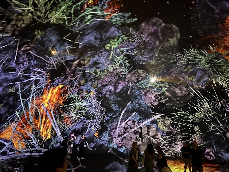 teamLab Phenomena - teamLab Phenomena Al Saadiyat Island - Cultural District - Abu Dhabi - United Arab Emirates