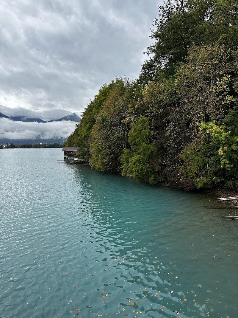 BLS AG boat cruise, shipping station - BLS AG boat cruise, shipping station Quai 1, 3855 Brienz, Switzerland