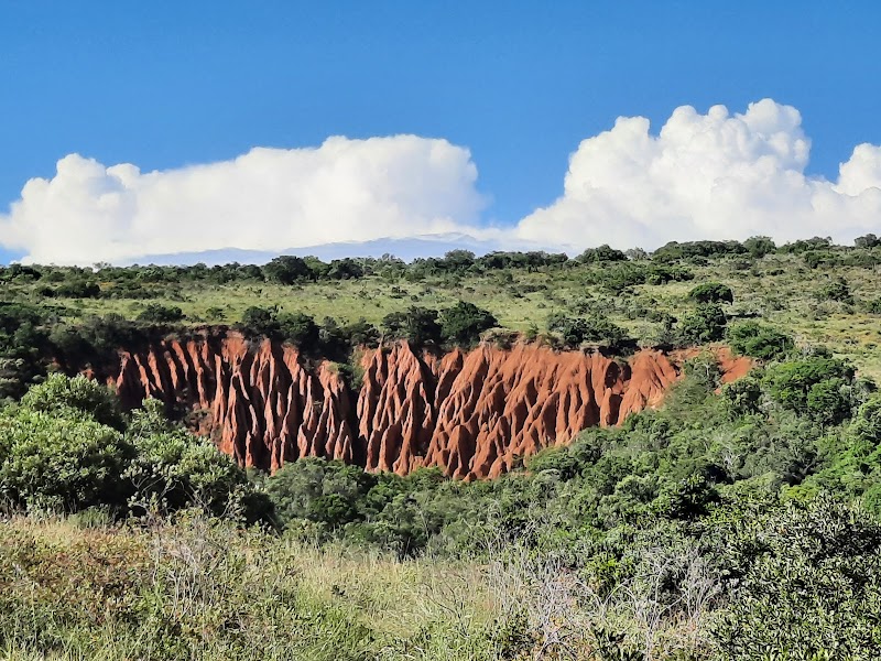 Addo Elephant National Park - Addo Elephant National Park South Africa
