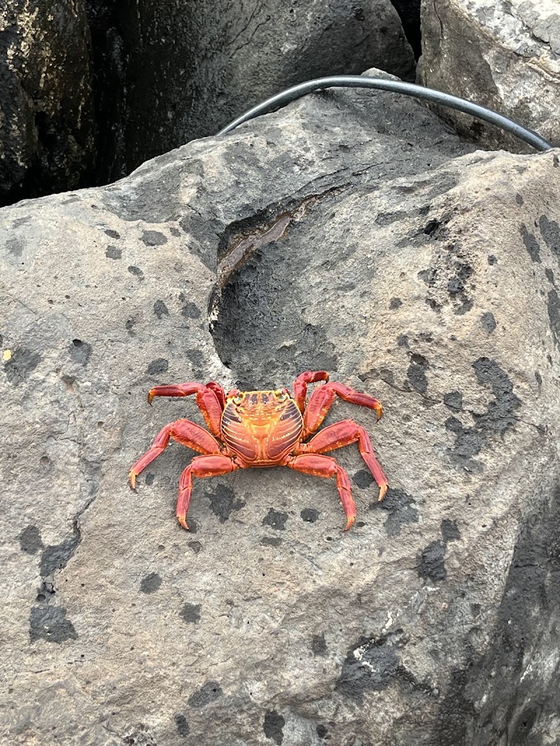 Playa de los Marinos - Playa de los Marinos, 39WP+XM4, Av. de la Armada Nacional, Puerto Baquerizo Moreno, Ecuador