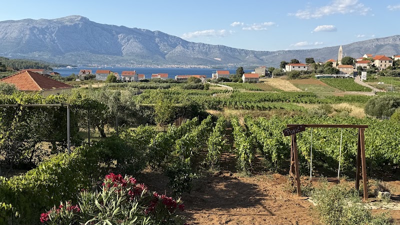 Korcula Explorer (Wine & Food Tasting Tours) - Korcula Explorer (Wine & Food Tasting Tours), Please note we don't have a physical office, 20260, Stari Grad, Korčula, Croatia
