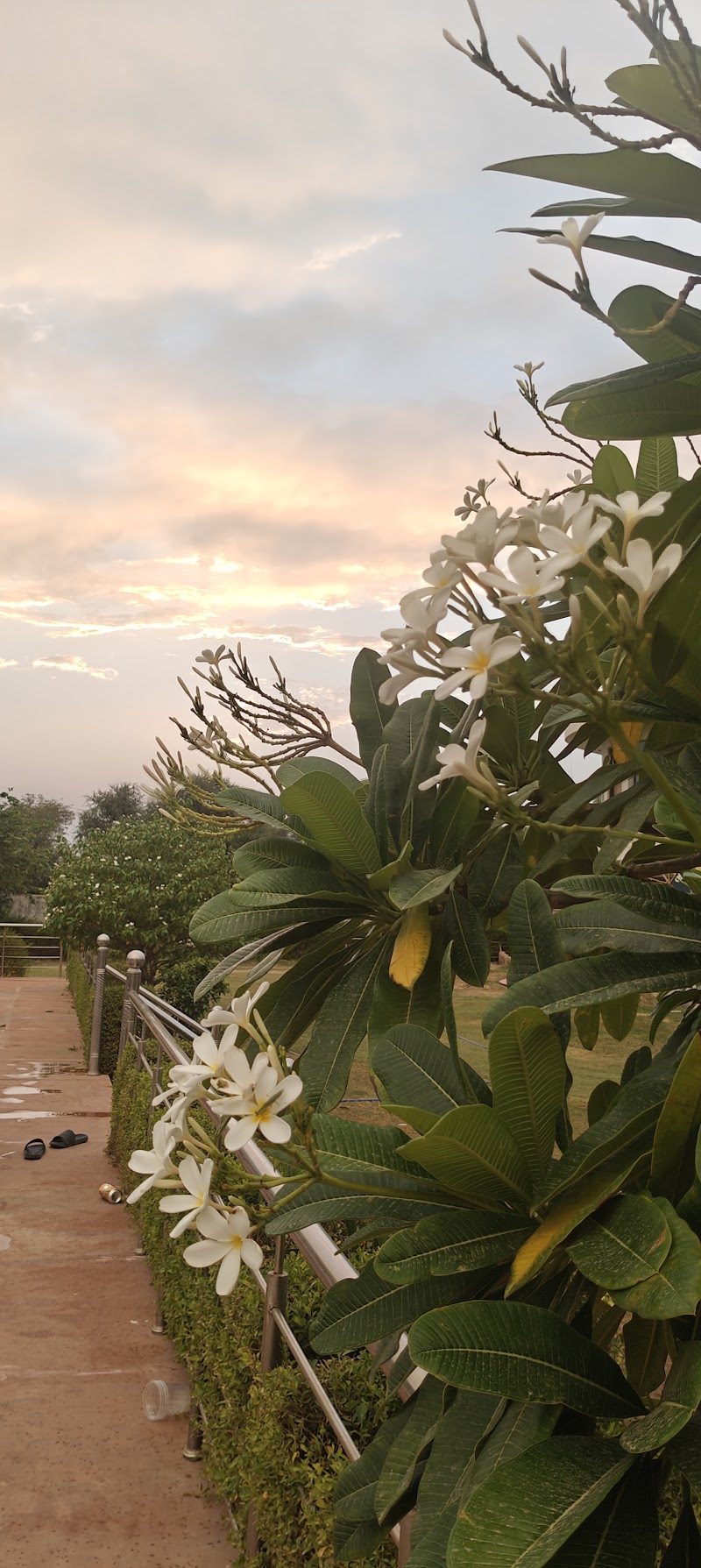 Rosewood Farms - Farmhouse in Jaipur - Rosewood Farms - Farmhouse in Jaipur Pahadiya Rd, near shiv temple, village lakhna, Jaipur, Dabla Bujurg, Rajasthan 303904, India