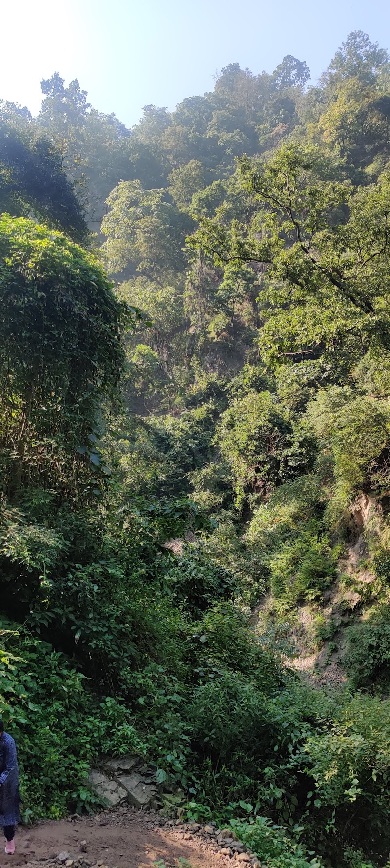 Patna Waterfall - Patna Waterfall 4978+V22, Patna, Uttarakhand 249304, India