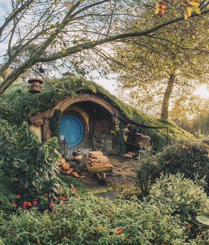 Matamata - Matamata Matamata, New Zealand