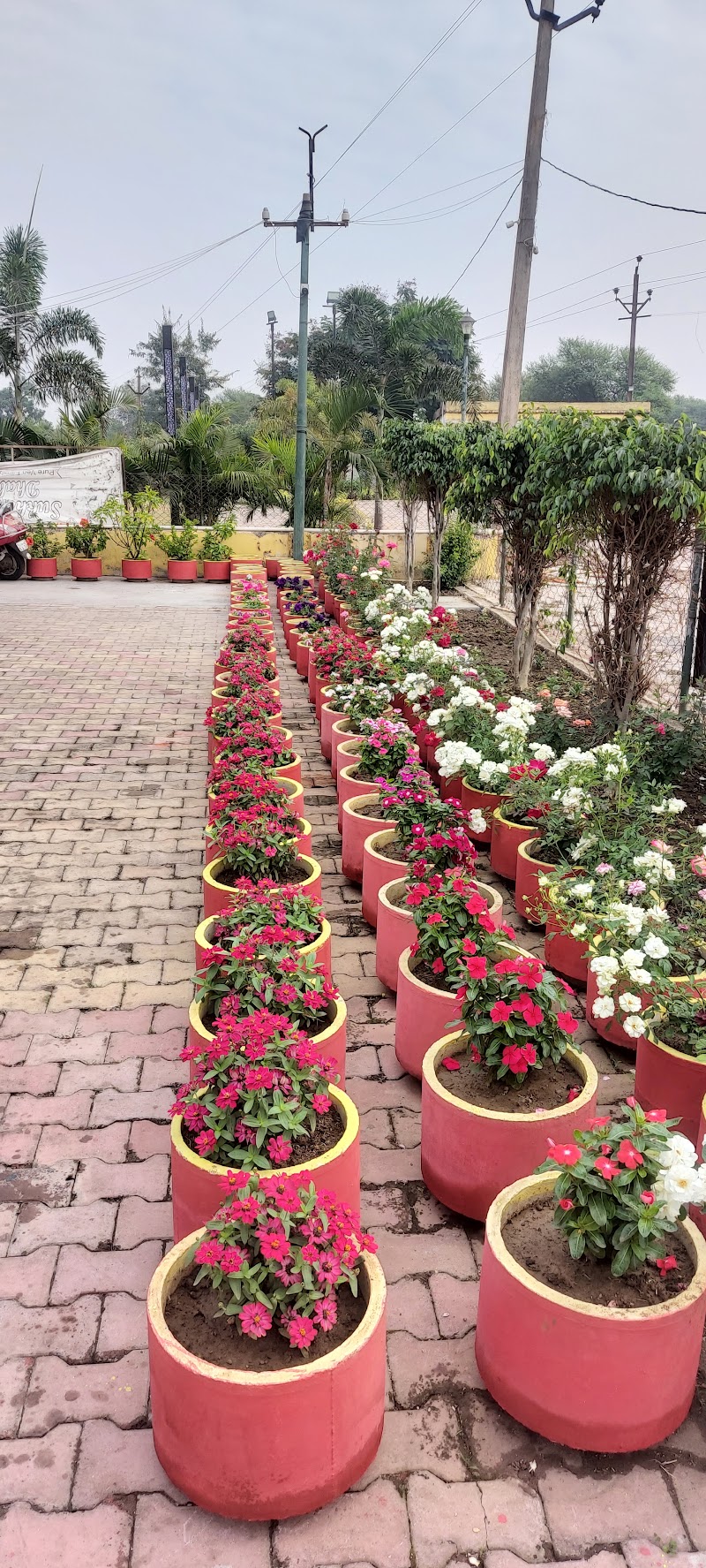 SUKHCHAIN DHABA - SUKHCHAIN DHABA, Thakur Tola, Chhattisgarh 491443, India