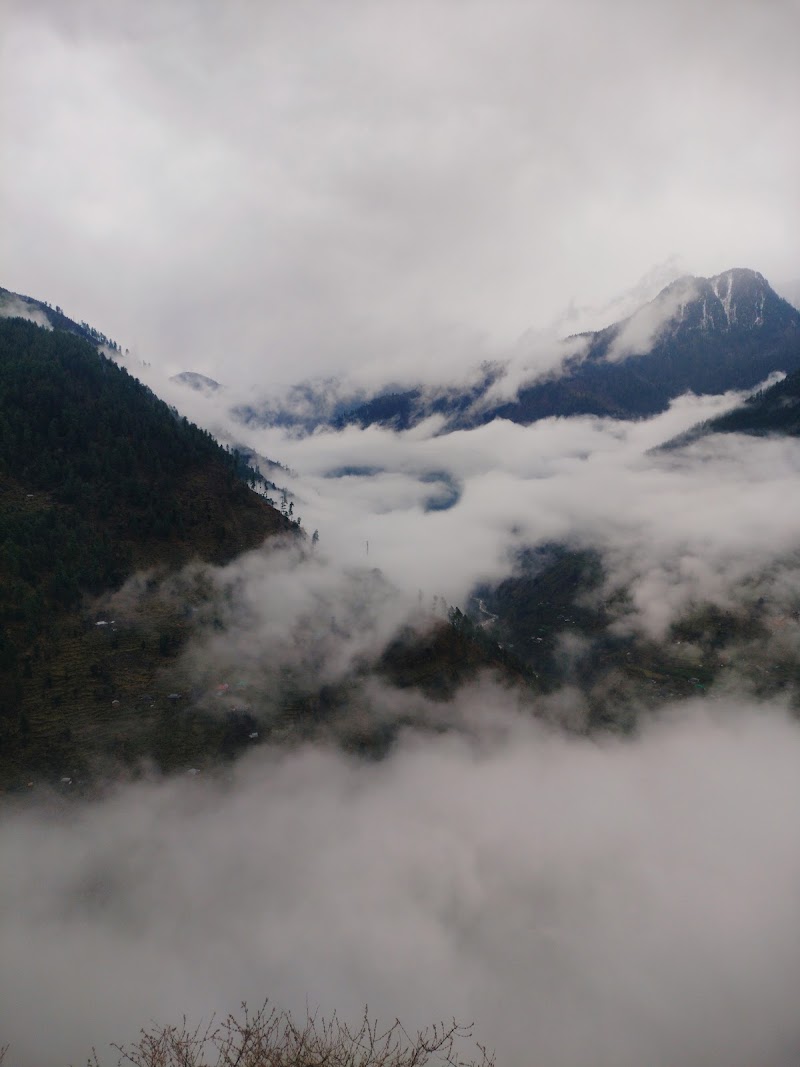 Globaltirthanvalleystay - Globaltirthanvalleystay Pekhari, Gushaini, Banjar, Himachal Pradesh 175123, India