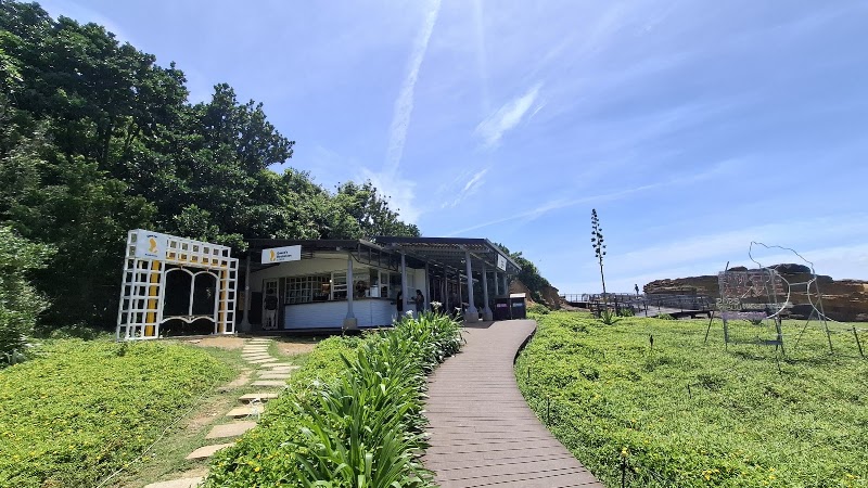 Yeliu Geology Park - Yeliu Geology Park, Wanli District, New Taipei City, Taiwan 207