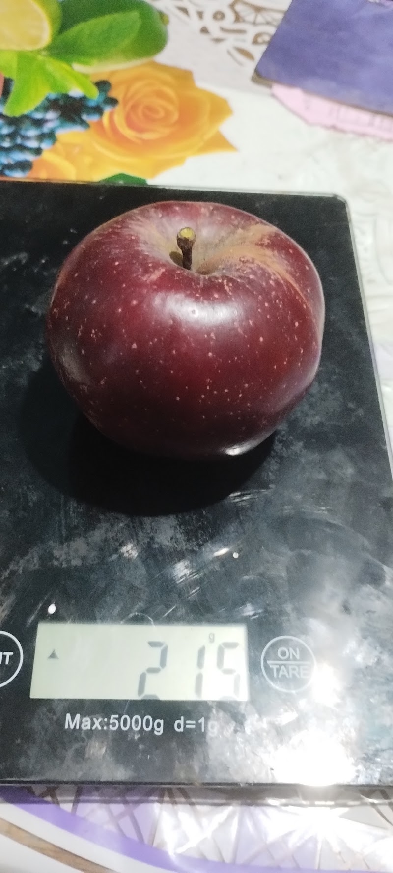 Dewa.Orchard - Dewa.Orchard, Shilawati po nishani teh, Distt, Nirmand, Sohach, Himachal Pradesh 172002, India