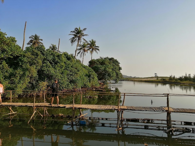 Mandrem Beach - Mandrem Beach Near Chopdem, MP95+VR7, Mandrem, Goa 403527, India