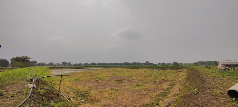 Daniel & Das integrated farm - Daniel & Das integrated farm, 6474+C5X, Jalbandha Road, Chhattisgarh 491444, India