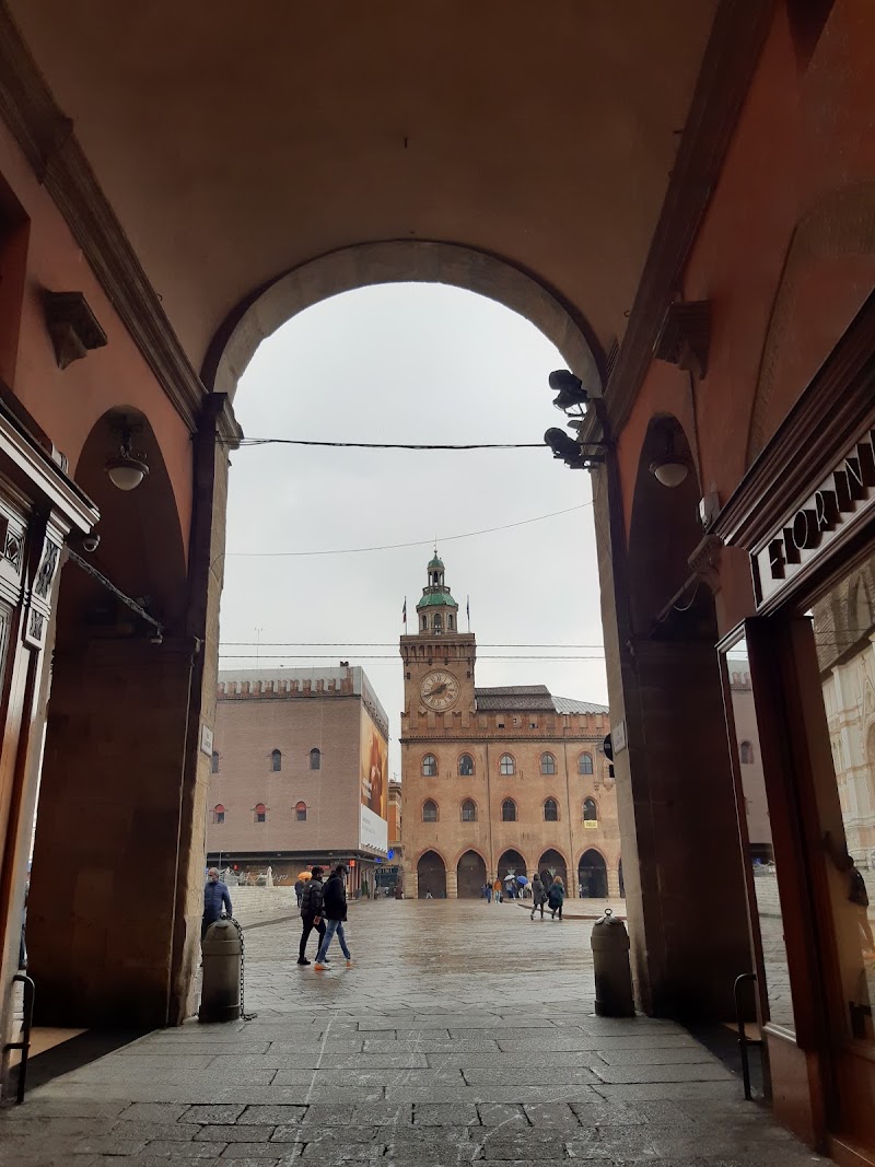 Piazza Maggiore - Piazza Maggiore, Bologna BO, Italy