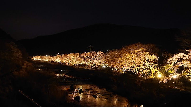 Miyagino - Miyagino, Hakone, Ashigarashimo District, Kanagawa 250-0401, Japan