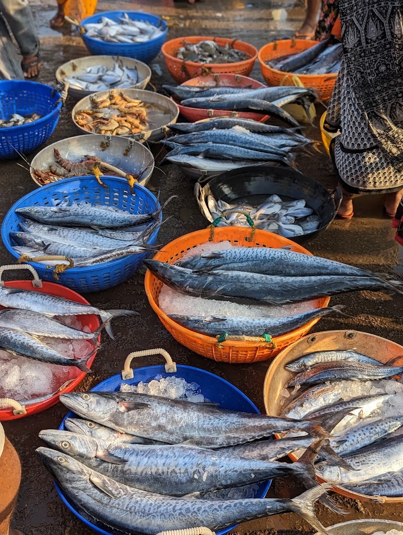 Fish market - Fish market, Malpe, Kola, Udupi, Karnataka 576108, India