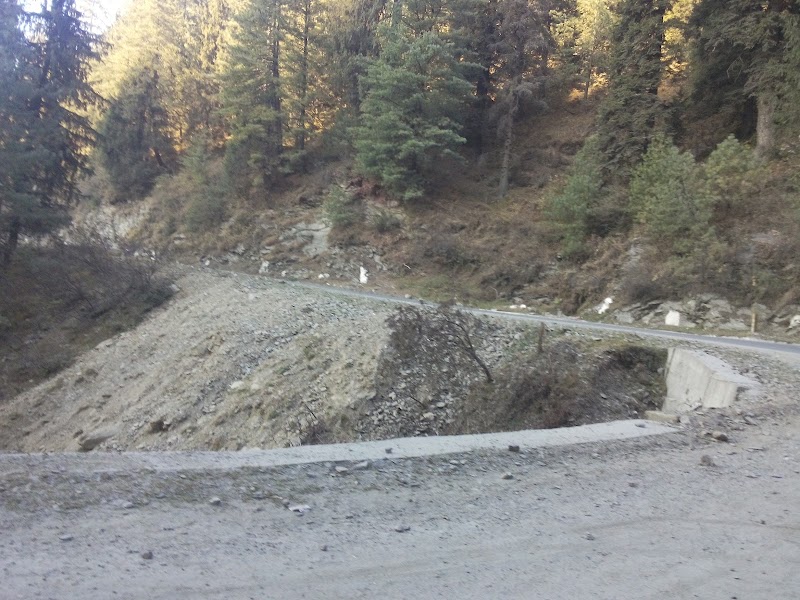 Narkanda Road - Narkanda Road, Narkanda Rd, Himachal Pradesh, India
