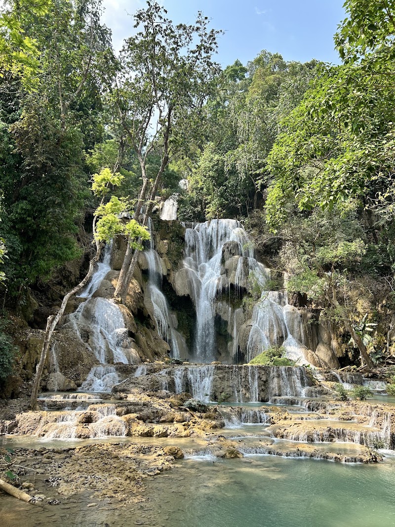 Manifa Travel Luang Prabang Office - Manifa Travel Luang Prabang Office, SAKKALINE RD, VAT SENE VILLAGE OPPOSITE OF, VILLA SANTI HOTEL, ຫຼວງພະບາງ, Laos